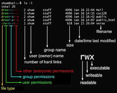chmod 770 vs 777|Linux File Permissions – What Is Chmod 777 and How to Use It.